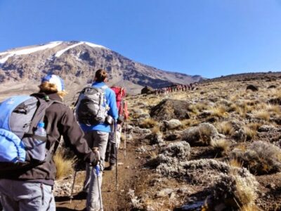 Climbing-Kilimanjaro-machame-route