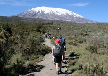 6 Days Machame Route & Culture Sightseeing