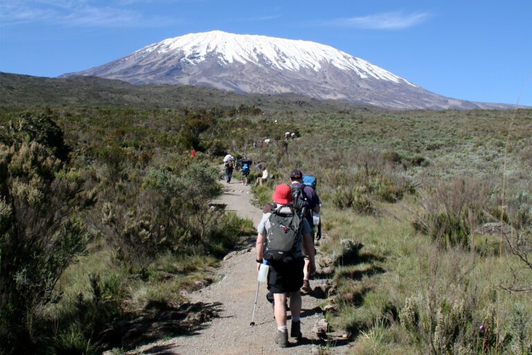 6 Days Machame Route & Culture Sightseeing