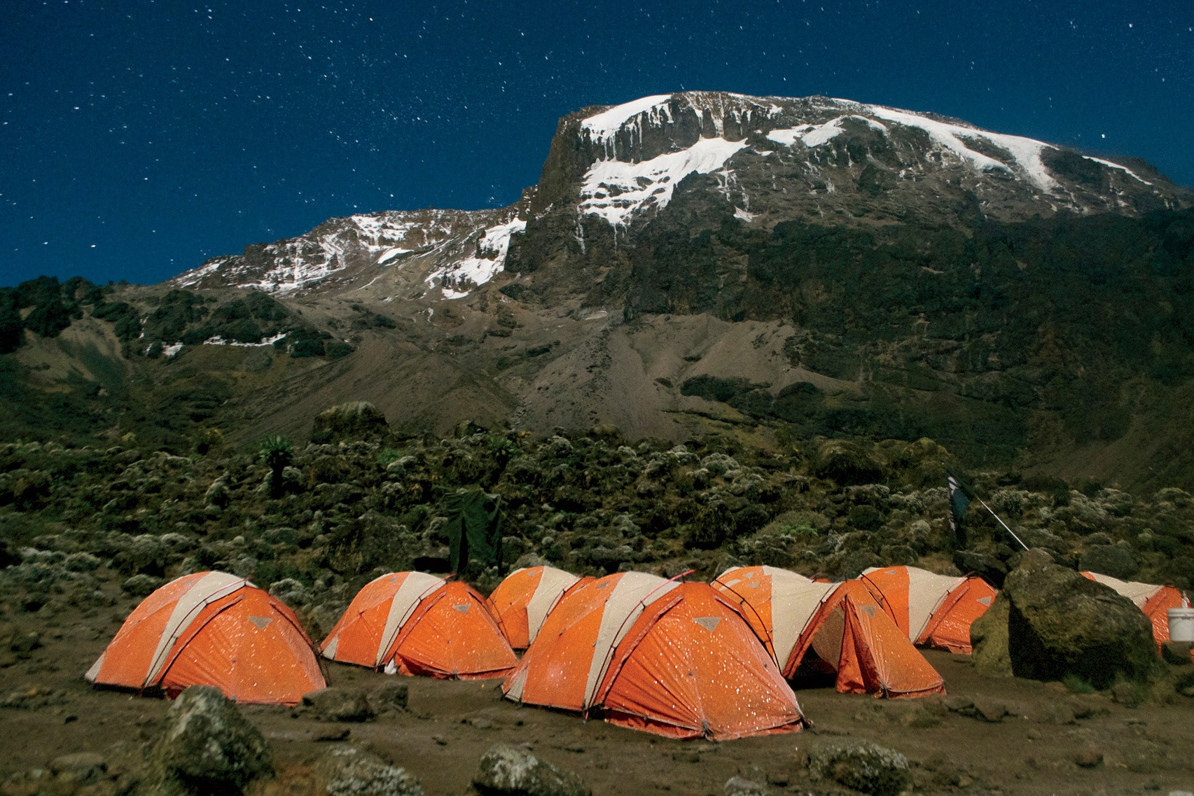 Kilimanjaro Tent taken by Rock To Bush Adventures