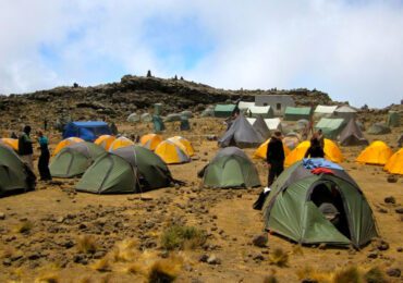 Tents on Kilimanjaro Trekking by Rock to Bush