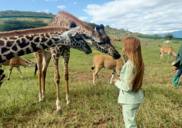 What to Expect on a Safari in Tanzania - Photo by Rock to bush