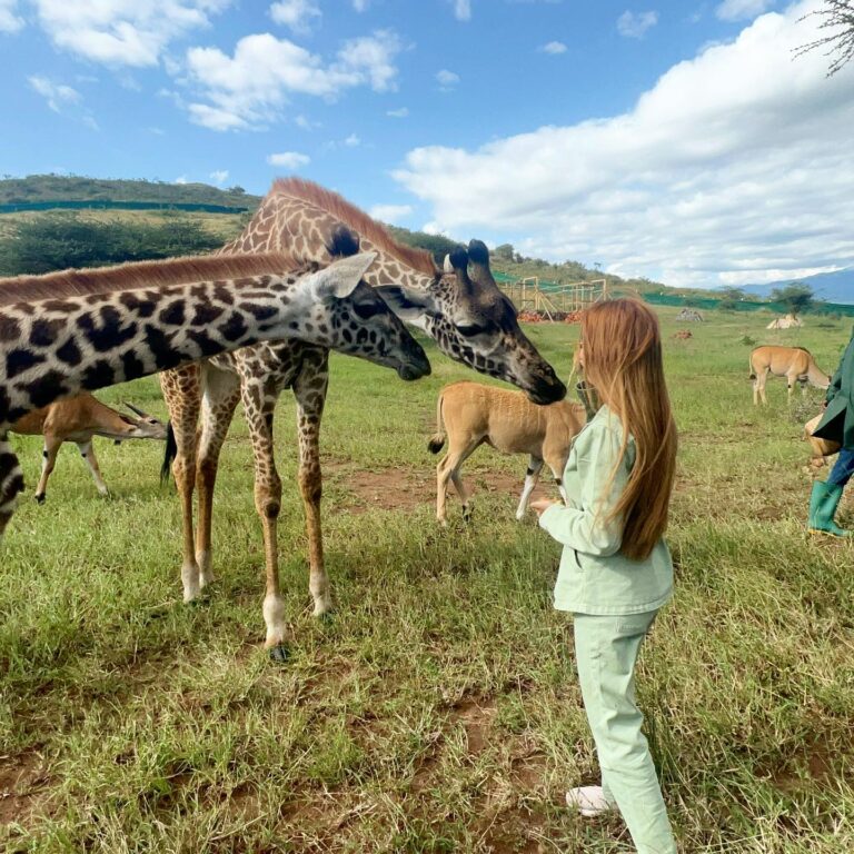 What to Expect on a Safari in Tanzania - Photo by Rock to bush