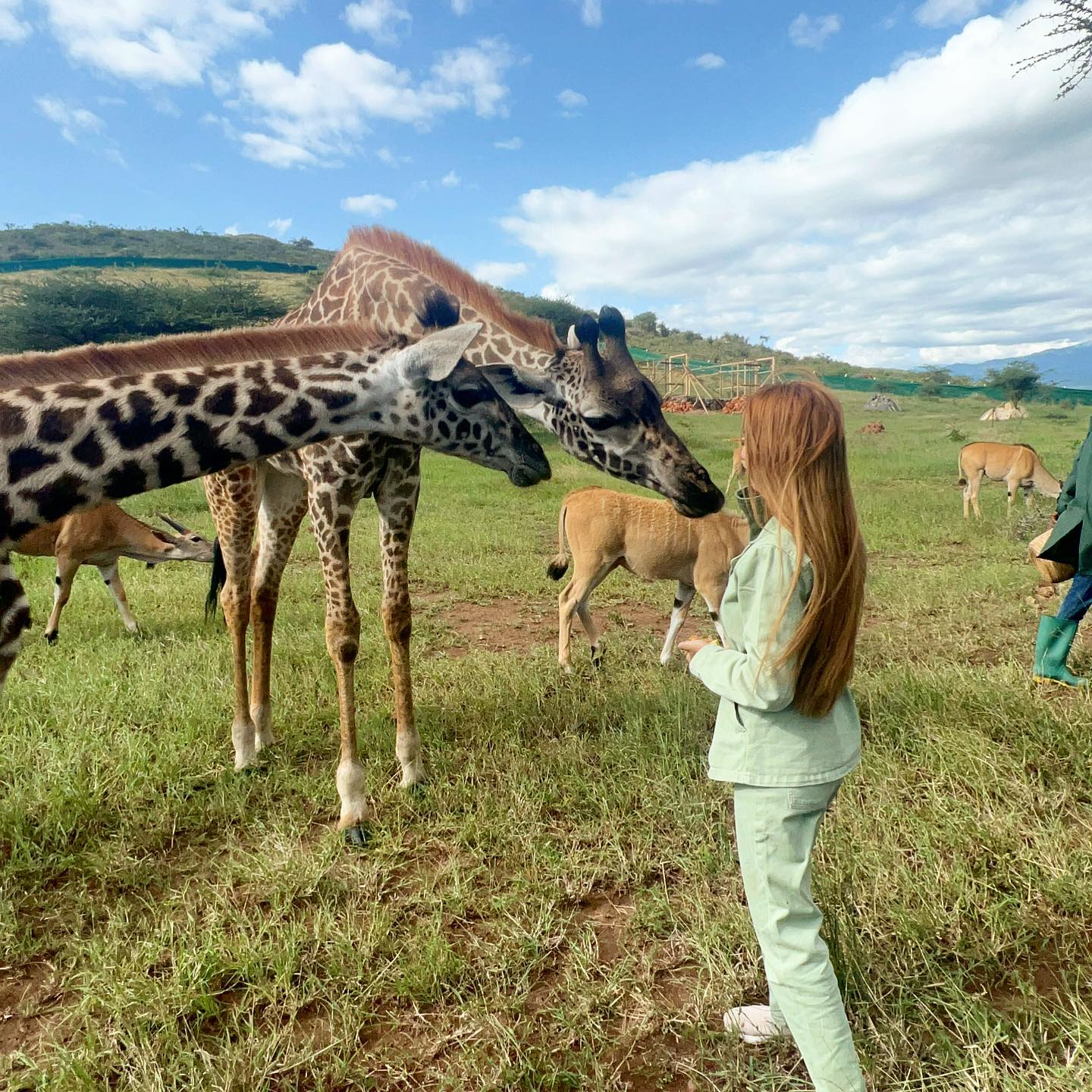 What to Expect on a Safari in Tanzania - Photo by Rock to bush