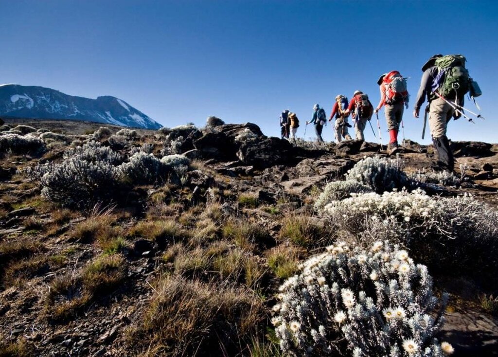 How Long It Takes to Climb Mount Kilimanjaro
