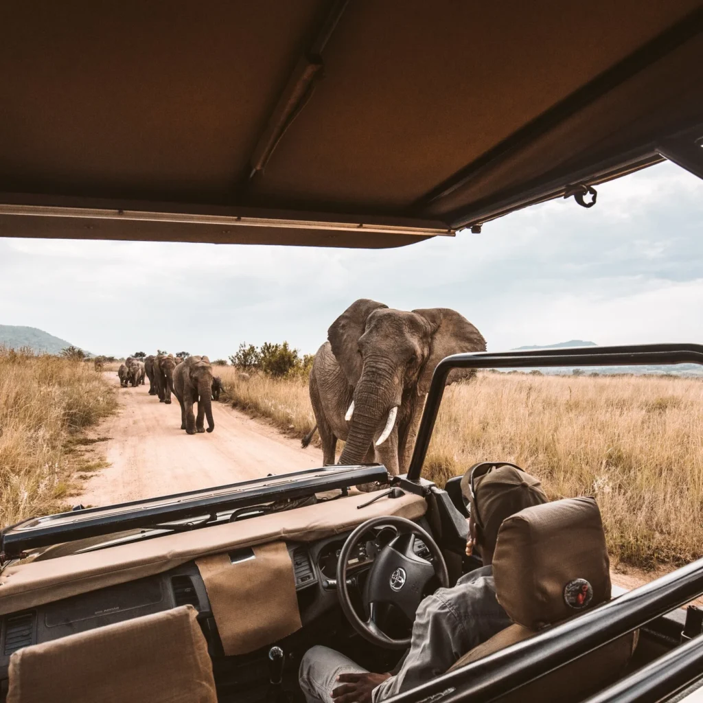 Game Drive