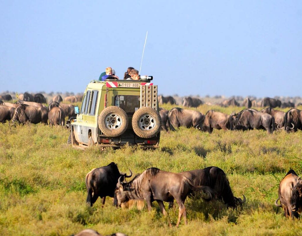Game drive at Serengeti National Park