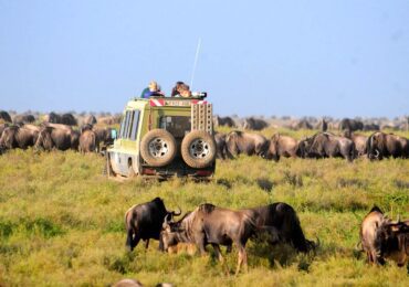 Game drive at Serengeti National Park