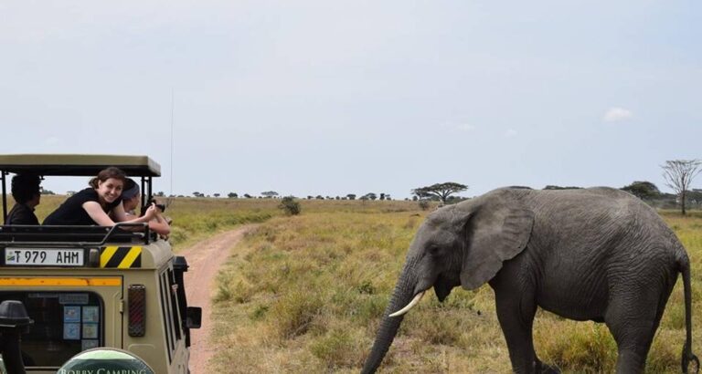 4 Days Tanzania active adventure safaris