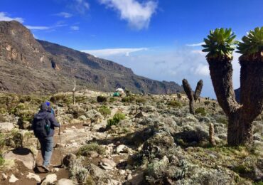 Climbing Kilimanjaro by Rock to Bush Adventures