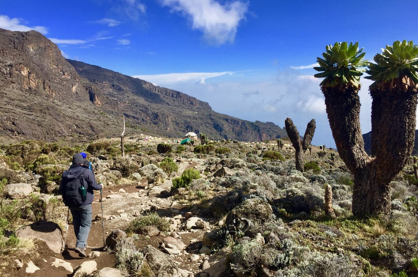 Climbing Kilimanjaro by Rock to Bush Adventures