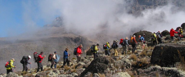 North Circuit route by Rock to Bush Adventures