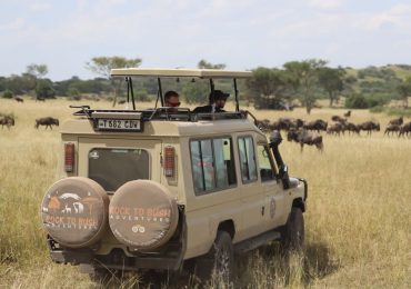 3 Days Premium Safari