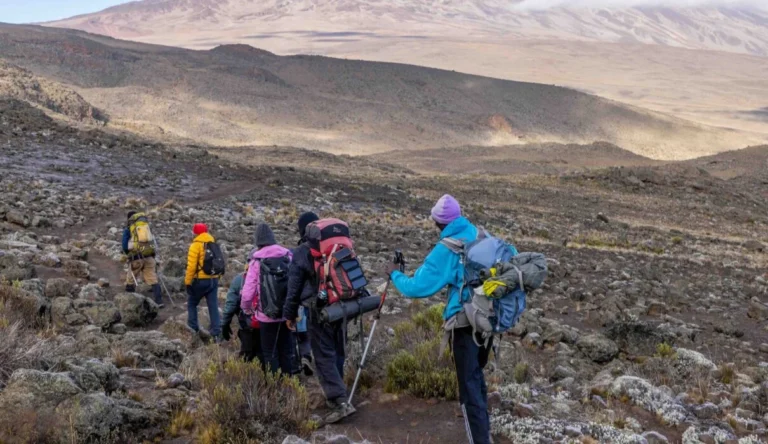 5-days Kilimanjaro Climbing Rongai Route in 2025/2026