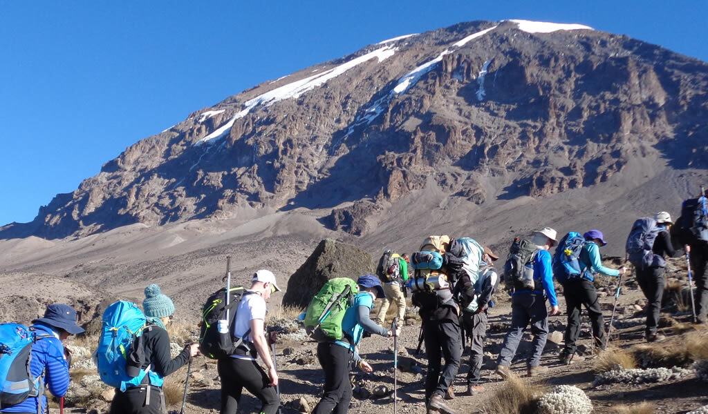 Epic 8 Days Rongai Route – Ultimate Kilimanjaro Climbing Adventure