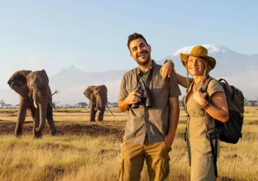African Safari Explained: The Ultimate Wildlife Adventure for First-Time Travellers