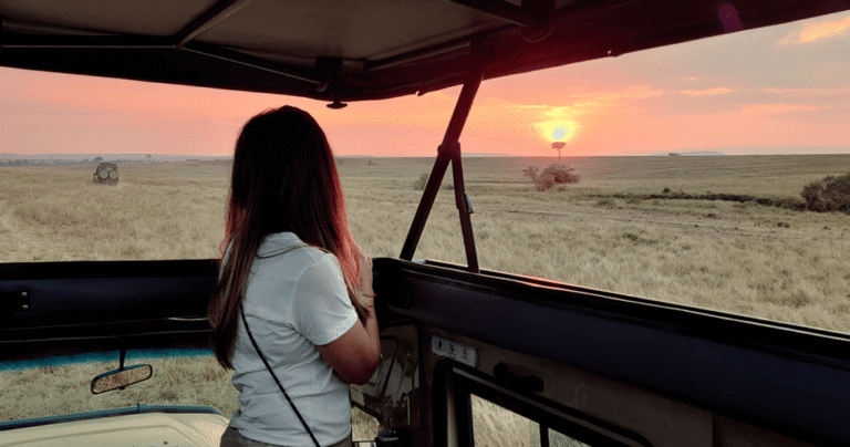 From Sunrise to Sunset: Inside a Real African Game Drive