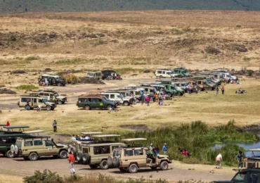 The Truth About African Safaris: Expectations vs Reality