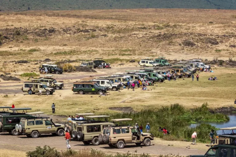 The Truth About African Safaris: Expectations vs Reality