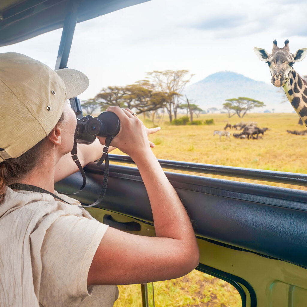 Warum Eine Safari in Afrika Mehr Ist Als Nur Tiere Beobachten