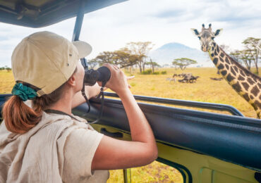 Warum Eine Safari in Afrika Mehr Ist Als Nur Tiere Beobachten